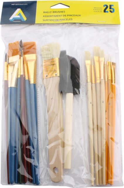 BAG-O-BRUSHES 25PCS
